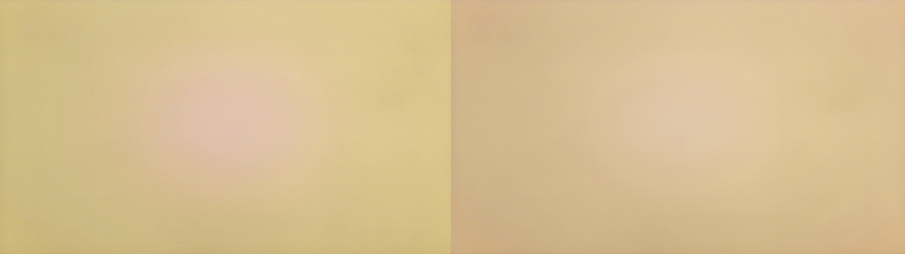 图左U30色温下套用A-light ALSC table，图右为透过自适应算法补偿的结果